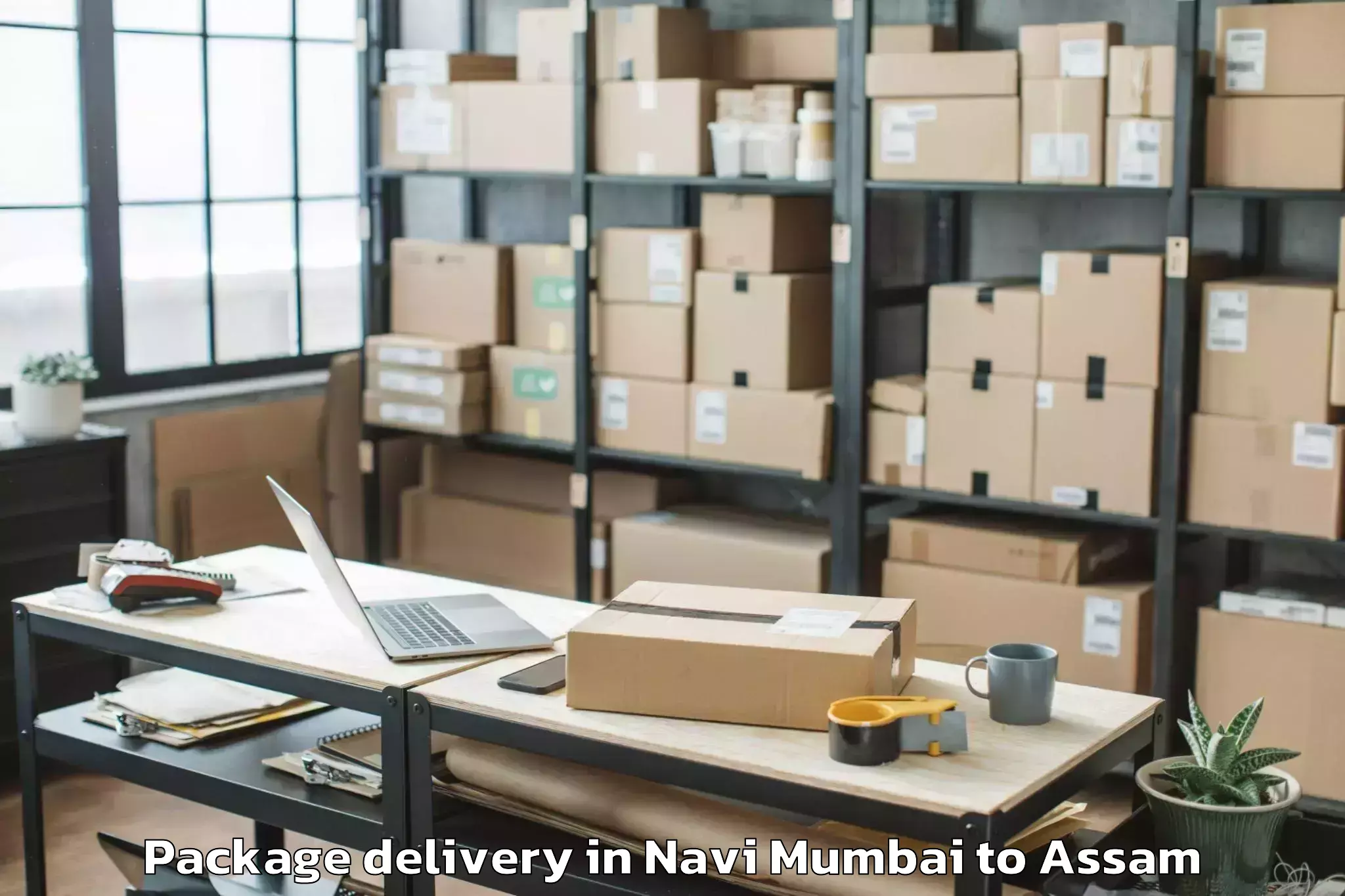 Affordable Navi Mumbai to Silapathar Package Delivery